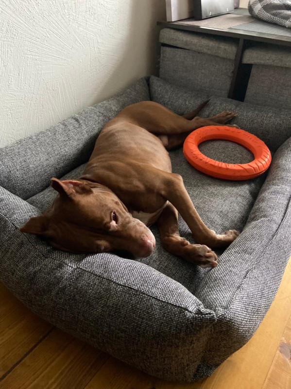 9E4A5EC1-2364-4896-B9FE-27AA25C63AD7