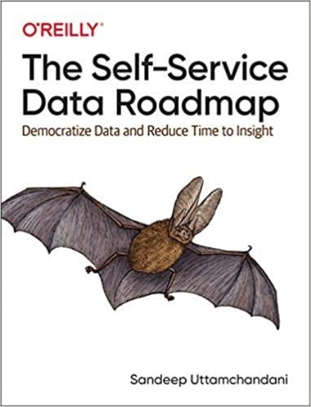 The Self-Service Data Roadmap by Sandeep Uttamchandani
