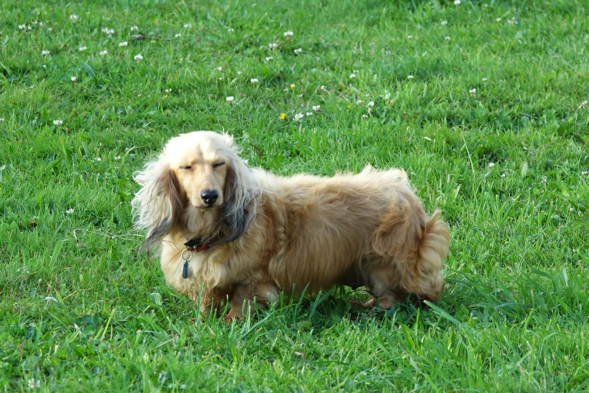 [Image: Norma-13.jpg]