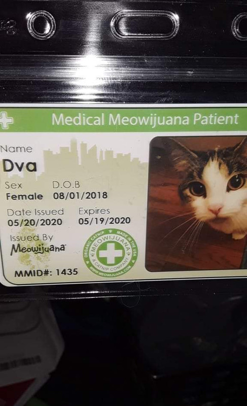 FB_IMG_1668119342296