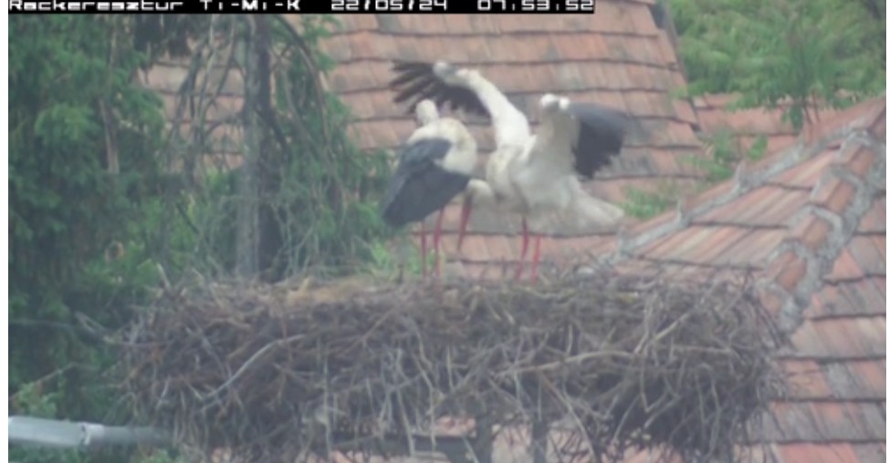 2022-05-24_080858csere készül