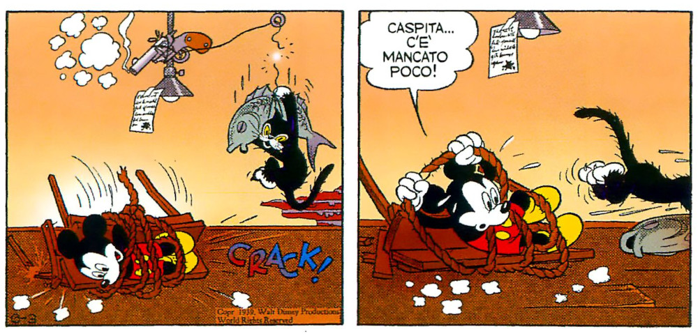 20250513-macchia-nera-trappola-gatto04