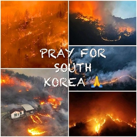 Il-dolore-del-Papa-per-gli-incendi-in-Corea dans Fede, morale e teologia