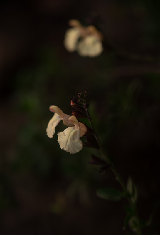 IMG-c09ec56c921493b17756839fb6cc8b2b-V