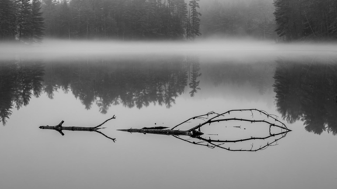 Foggy Lake 2