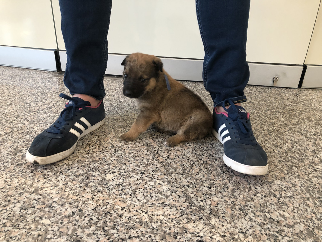 08183829-9313-442D-B0F6-50841B711773