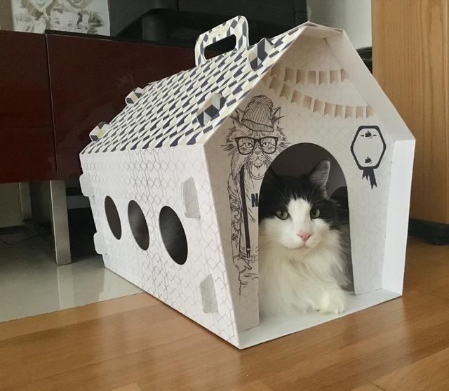 1-A0-D70-D4-BA63-4-E35-AE1-D-29-BA9-F7-C