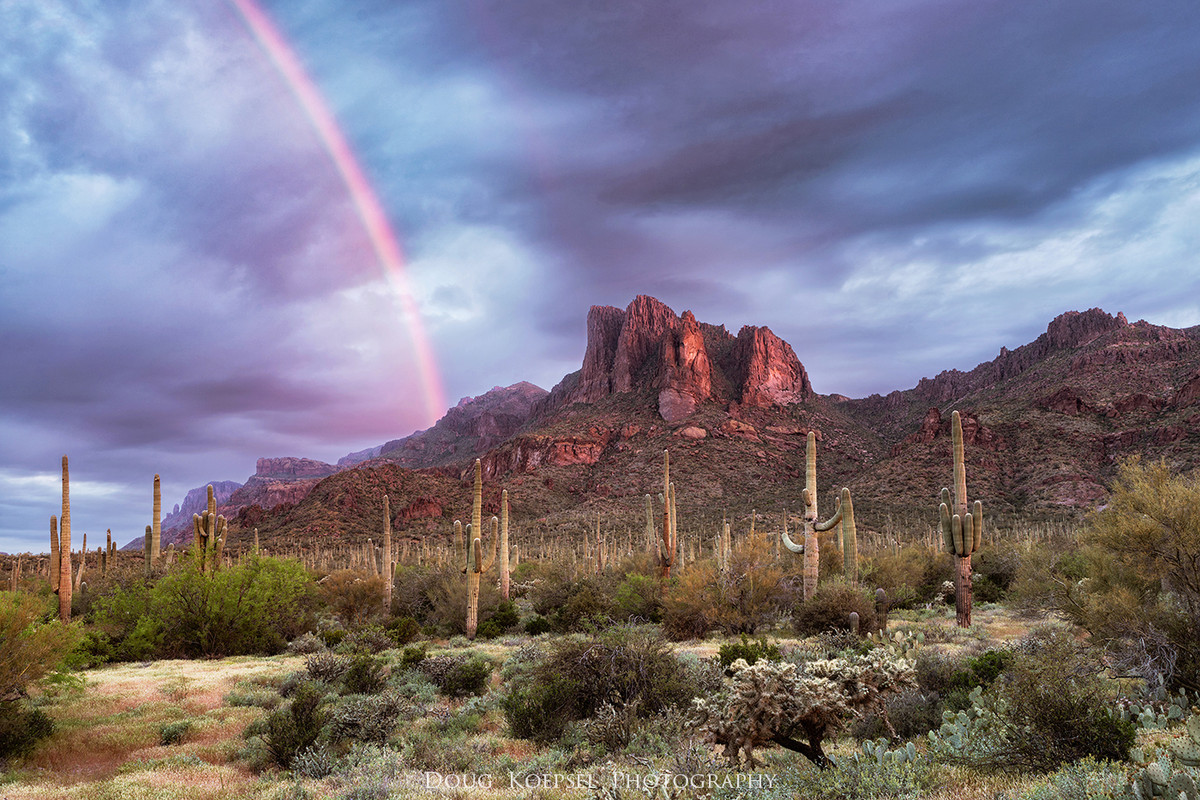 Ed1400-5-2x3TCGGBlend683,687Supes 4-4-2019_0683 copy