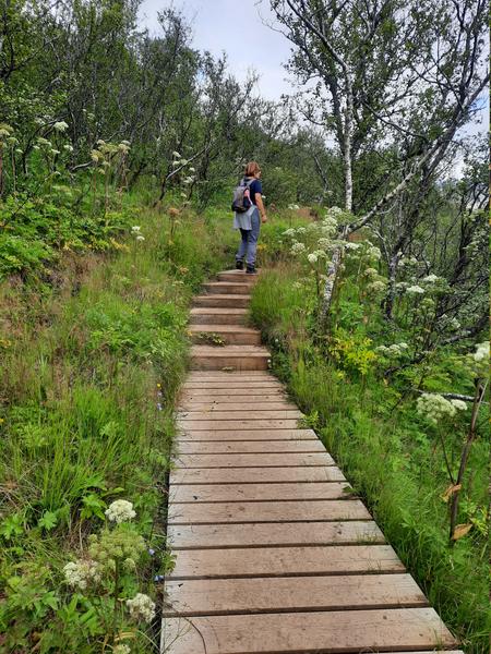 Islandia increíble en 11 días. - Blogs de Islandia - Dia 4. Playa negra Vik, Eldhraun, Stjórnarfoss, Foss á Síðu, Skaftafell. (8)