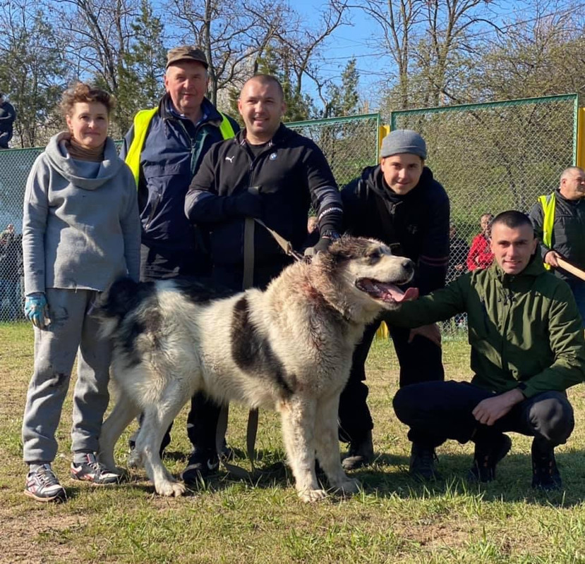 8B0118F7-BFB9-4BB9-A35B-6FC5EE033D23