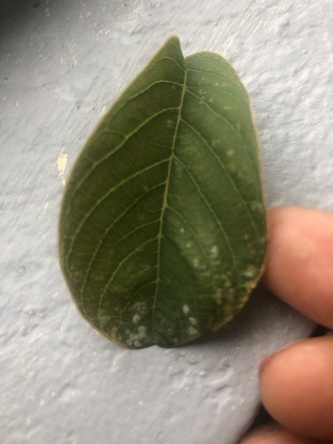 8AE6B273-136A-4B93-91DD-492717F38E8B