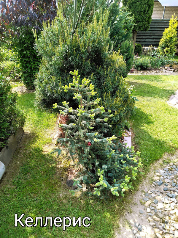 IMG_20250320_011052