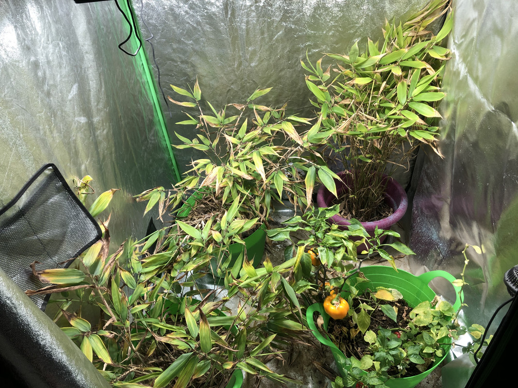 1ED6D9B4-B2CD-4075-92B2-3E900BF232C1