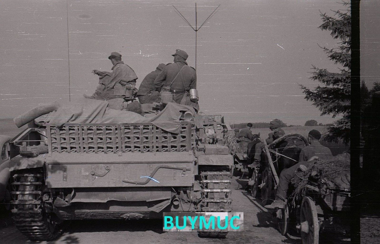 Литва. 1944 г.