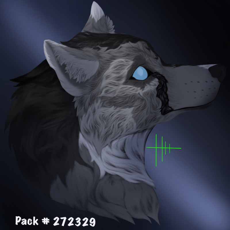 Evie(the11)'s character