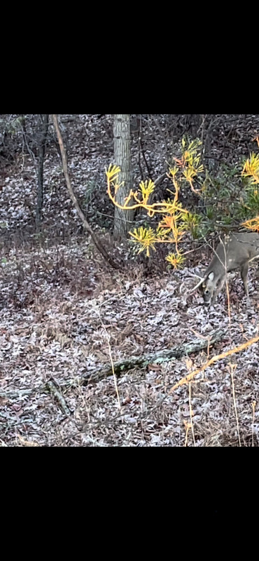 499210EC-C82A-47CB-9004-A4ACECF02CEE