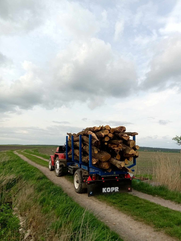 448074839_459563690013819_1257237912325384847_n