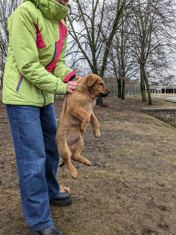 photo_2024-02-14_13-38-39 (2)