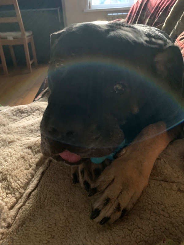 F2DD7A67-7A3C-40A9-8F38-B31C80B9D562