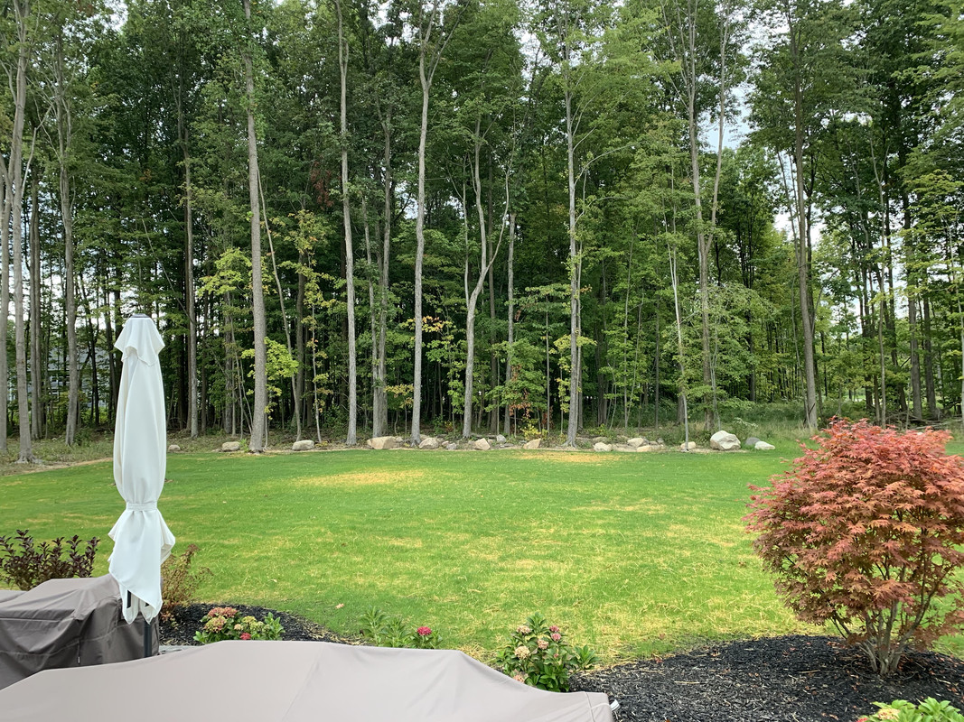 8ybh6Td8SMqtVzAvisCjqg