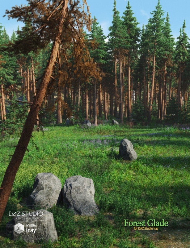 forest glade 00 main daz3d