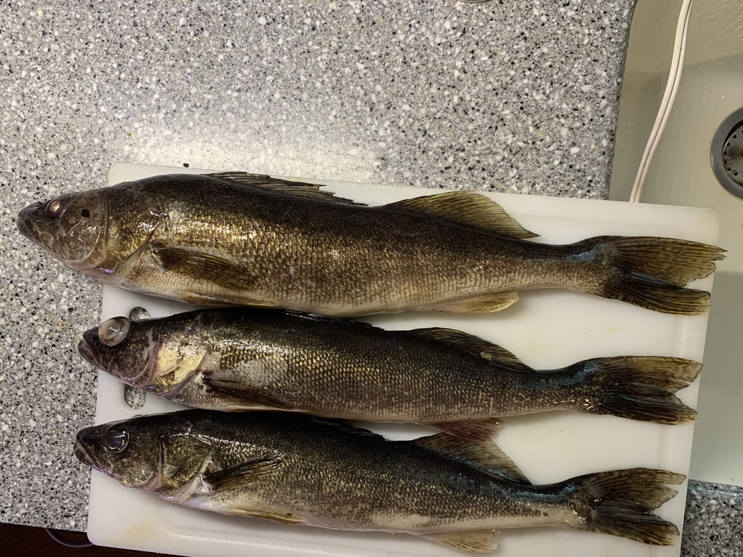 2D2AB3CA-E5B9-438E-9D7F-A4BFAD392083