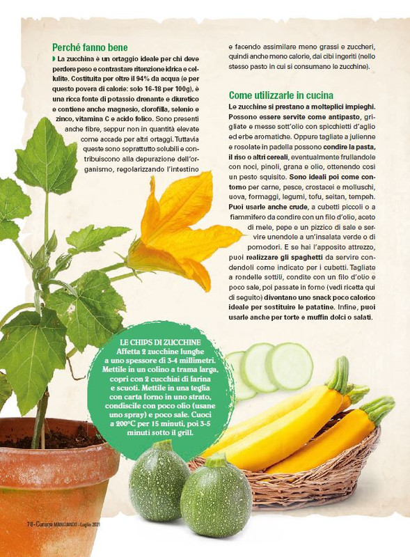 Cur Mang Lug 2021 (10)