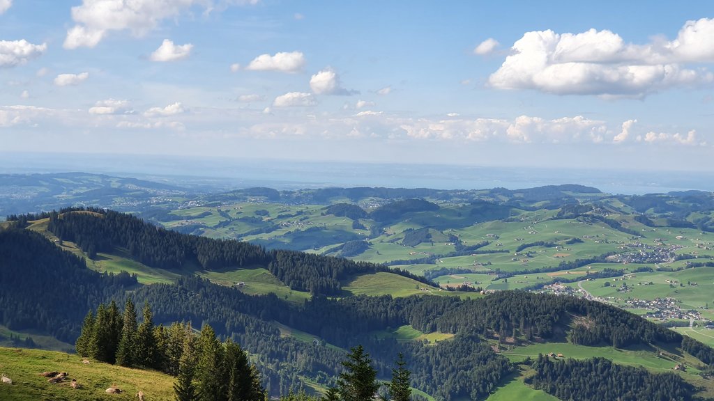 CHUR- HEIDIDORF- ÄSCHER- LINDAU (Alemania) - 50 sombras del verde en Suiza y Alemania (20)