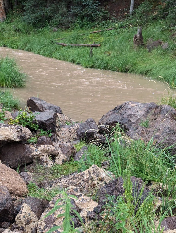 PXL_20240812_224219520