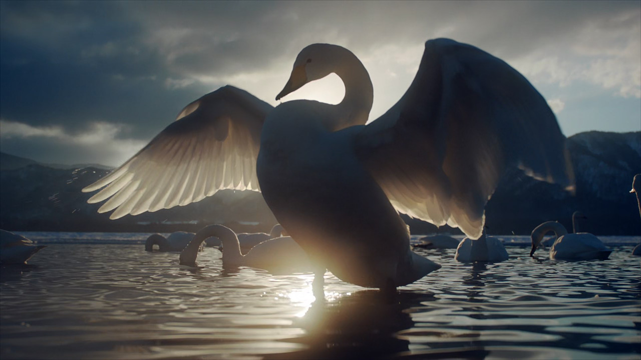 Japan Earth's Enchanted Islands (2015) - S01E01 - Honshu (1080p 