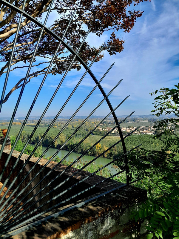 559859714-10163947964708984-361745196857