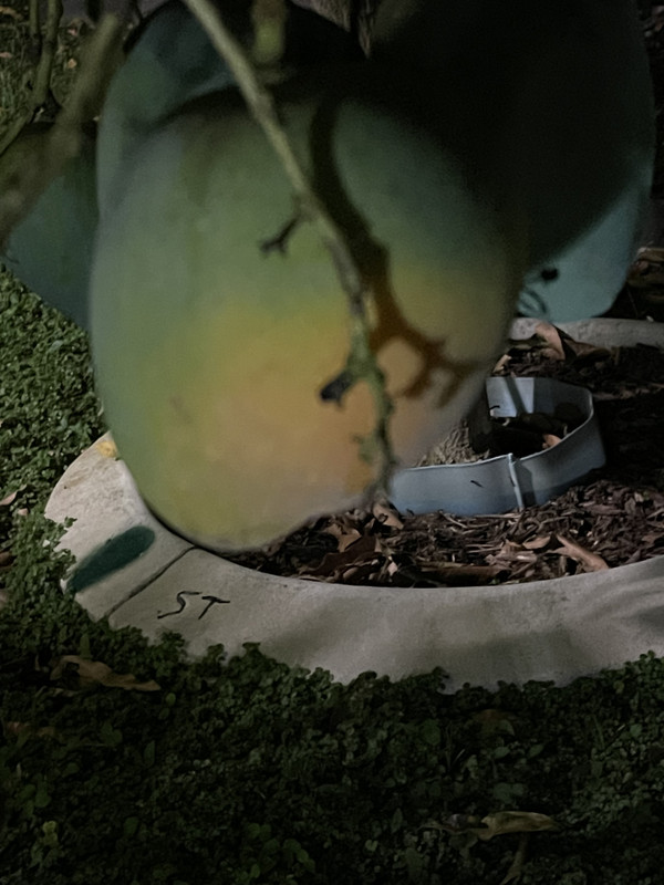 CF7032C1-882C-4C39-BB35-CB7A2D85E800