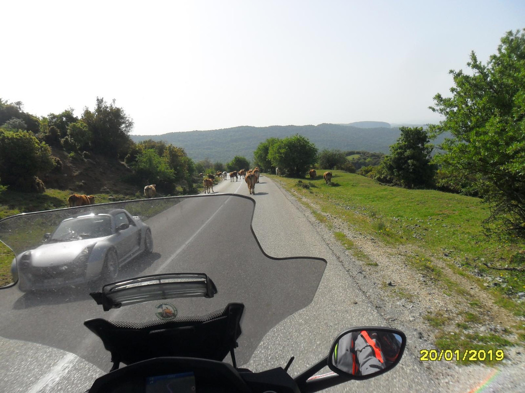 SAM_2878