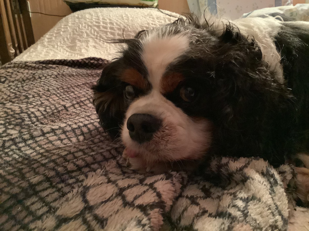 2A84CB25-3E3B-4BCA-ACD9-01315FBF8C89