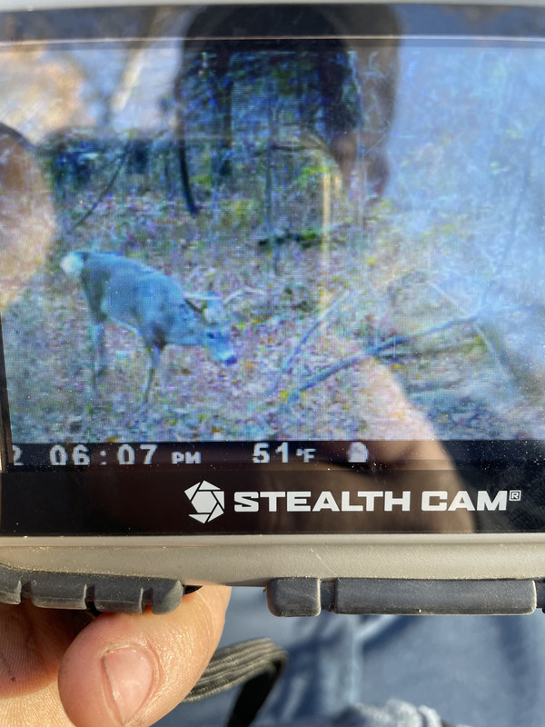 86DCF335-A763-40AA-B375-6FC241DB54C2