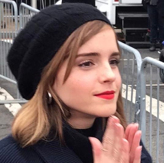 watsonuncensored.blogspot.com (1)