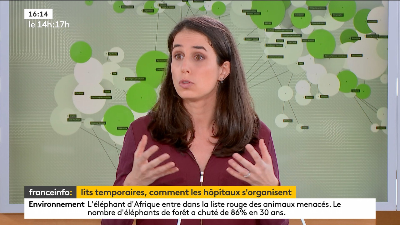 03.25 - 12.59.00 - Le 14h-17h. Au sommaire   Vrai ou fake. - francein..._001.ts_snapshot_00.56.09.13