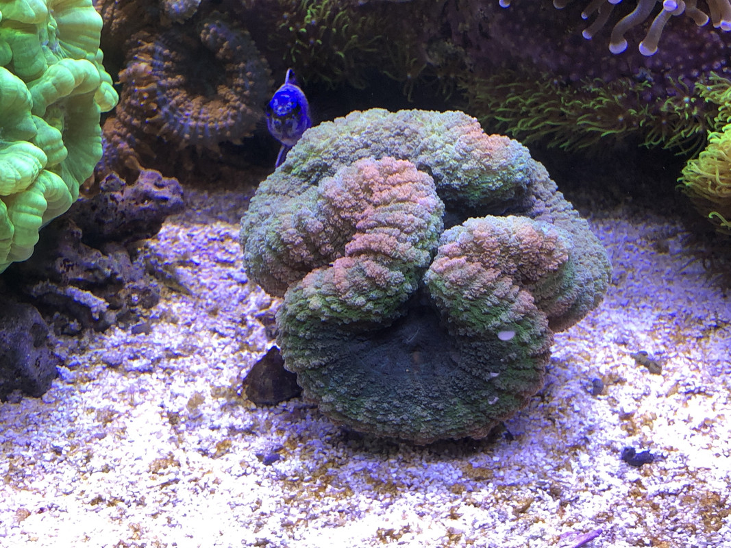 ECE429EC-7CB6-4AAB-A651-424FDABE1725