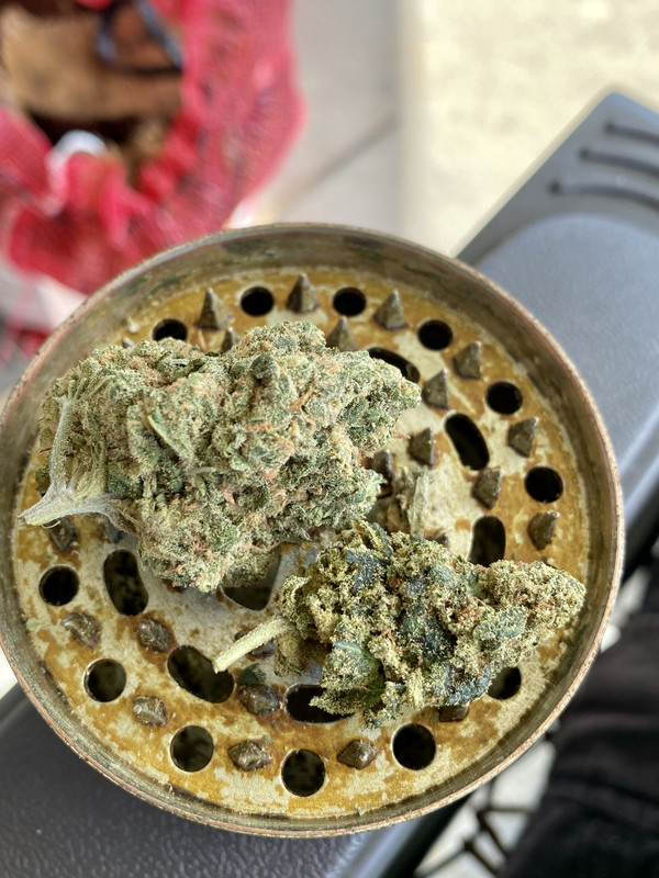 4D949BD8-6C39-4F8D-8994-139D73863A6B