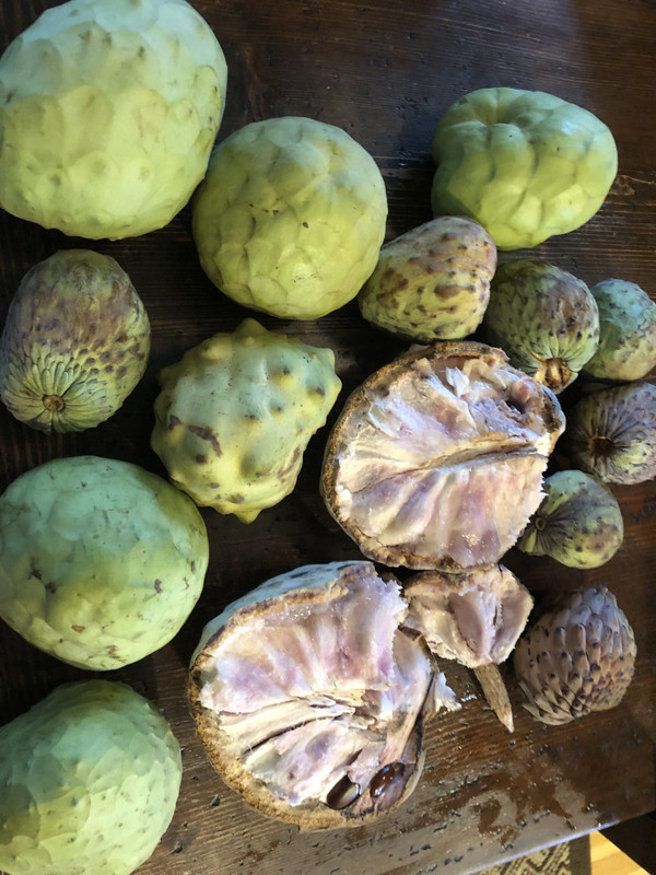 6510A25B-2A2C-431C-9BDA-068088C9B3BA