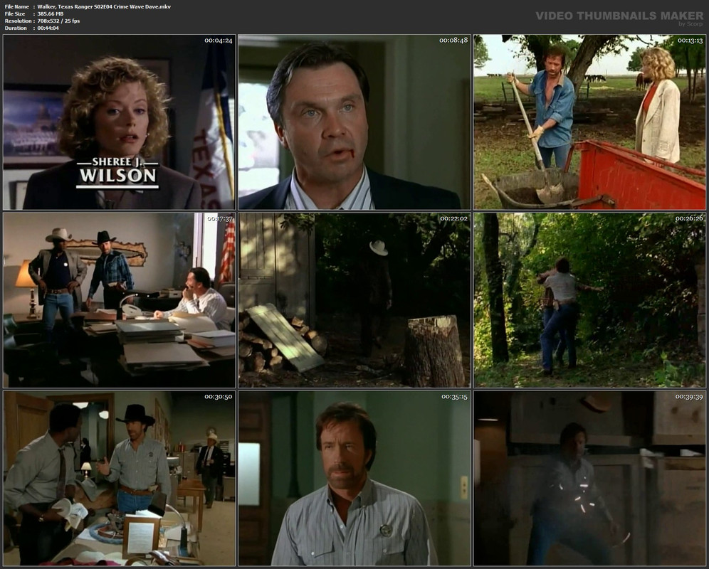Walker, Texas Ranger S02E04 Crime Wave Dave.mkv