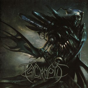 Re: Psycroptic (AUS) / Technical Death Metal