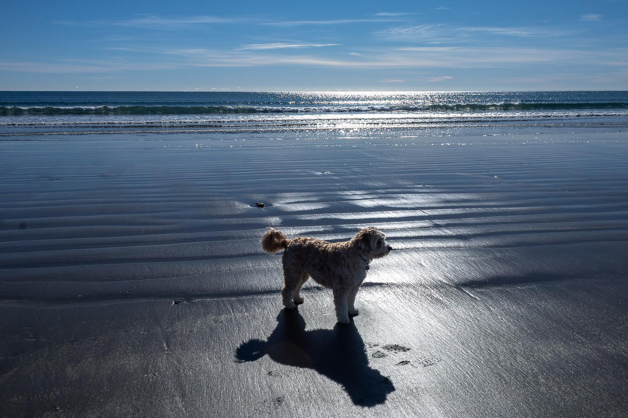 Maine Beach 13 Fedruary II 7
