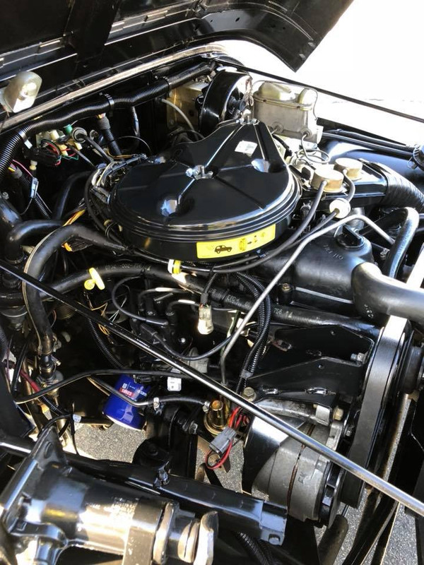 65274694_10220100424125716_5420992972369952768_n