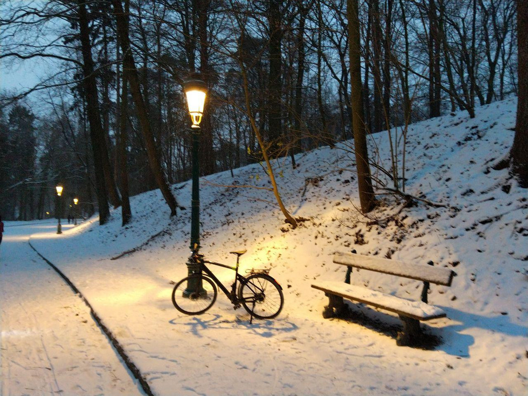 photo_2021-02-09_00-04-15