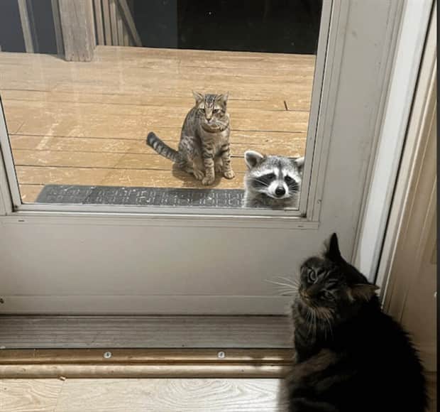 klyker-picdump-11-21-2025-19.jpg