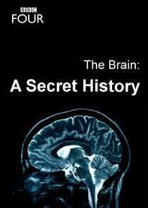  the brain, a secret history