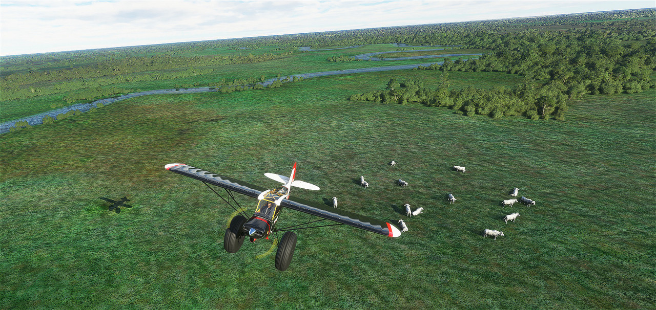 Savage-Cub-16.jpg