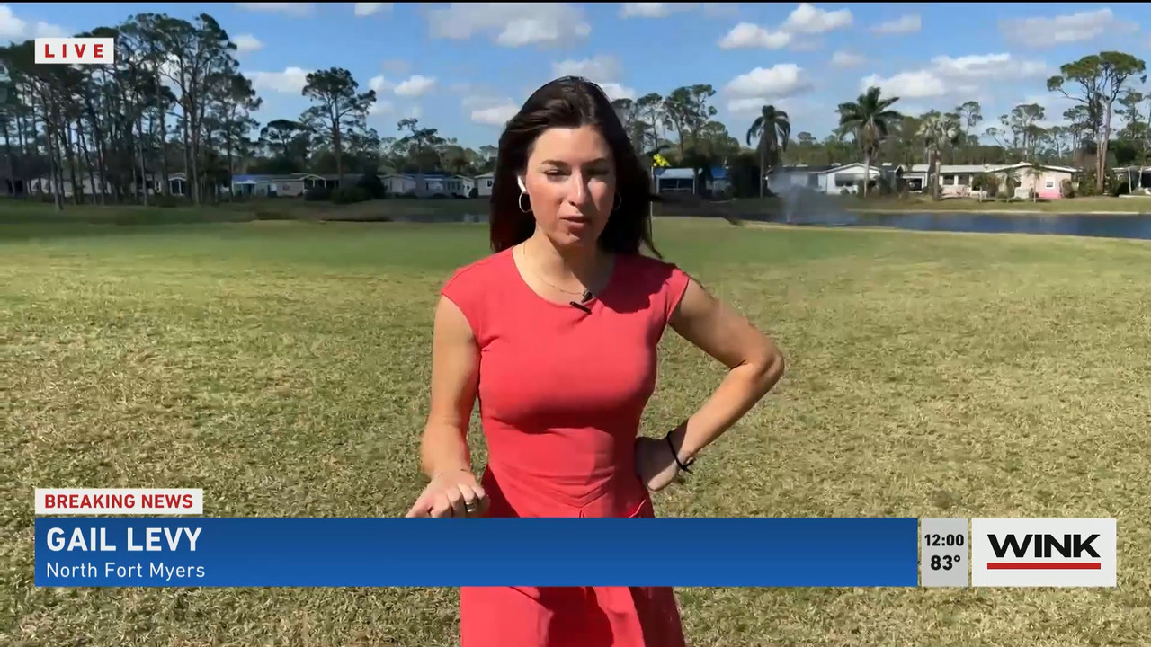 02.02 - 17.00.00 - The WINK Noon News  ᴺᵉʷ. Midday news update..ts_snapshot_06.40.952