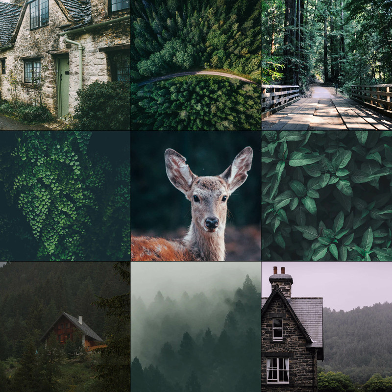 37109944_OahyRbOWDBl07ZU